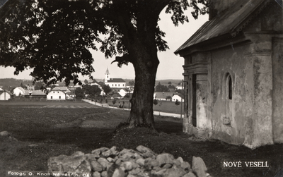 Pohled na Nové Veselí od kapličky (před rokem 1930).